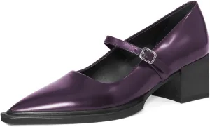 YDN Womens Mary Jane Chunky Block Low Heel Pumps Chic Closed Pointed Toe Buckled Strap Comfortable Dress Shoes Daily Size 4-16 US