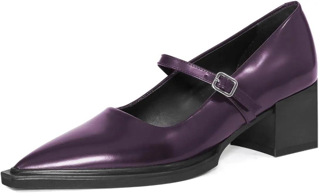 YDN Womens Mary Jane Chunky Block Low Heel Pumps Chic Closed Pointed Toe Buckled Strap Comfortable Dress Shoes Daily Size 4-16 US